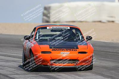 media/Oct-11-2025-Lucky Dog Racing (Sat) [[f5b53147c4]]/2-First Stint/2-Turns 9 and 10/